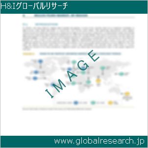 グローバルリサーチ調査レポートのイメージ